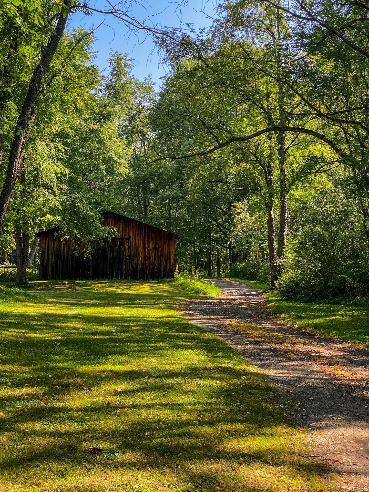 Trail & Carpenter Shed Trail & Shed